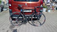 Rennrad POISON Opiat RH56 Campagnolo Veloce 10fach Sachsen - Zwenkau Vorschau