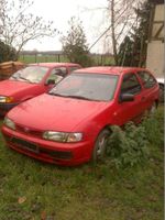 Nissan Almera 2.0d Saugdiesel -Motor+ Ford Fiesta1.1+AluFelgen- Sachsen-Anhalt - Werben Elbe Vorschau