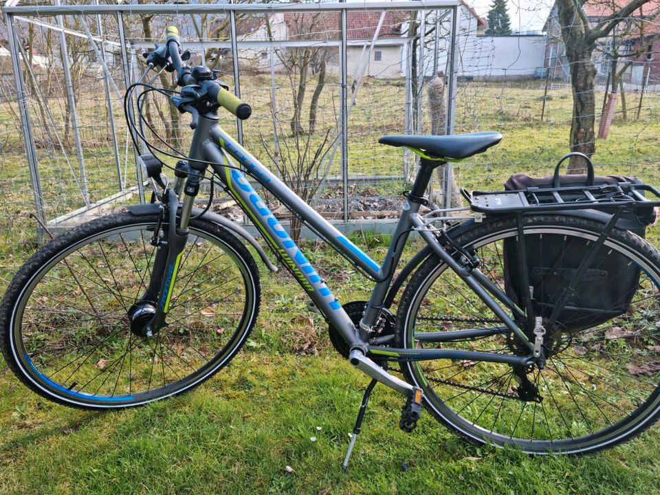 Damen Fahrrad Winora in Ferna