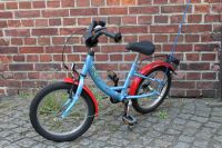 Kinderfahrrad Fahrrad für Kinder Kinderrad Brandenburg - Teichland Vorschau