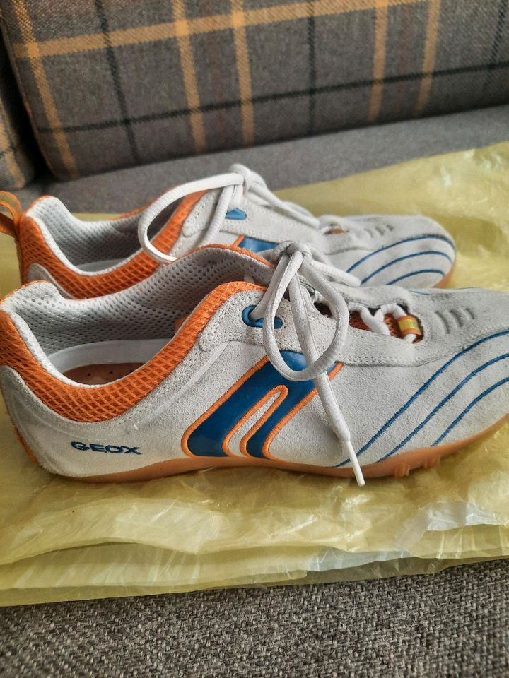 Geox Halbschuhe Gr. 38 Wildleder beige orange blau in Frankfurt am Main