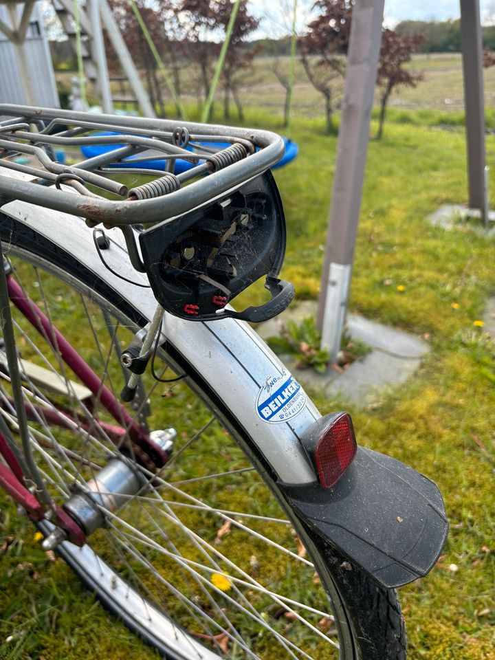 Damenfahrrad Falter in Uplengen