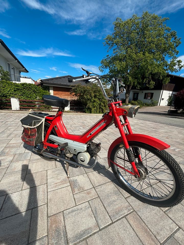 Moped starflite 40 in Arnstorf