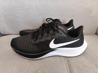 2x Nike Pegasus 37 Schuhe Größe 48,5 Sachsen - Chemnitz Vorschau