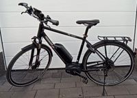 E-Bike Pegasus Premio E11 Rahmengröße 53 Nordrhein-Westfalen - Hagen Vorschau