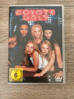 DVD - Coyote Ugly Nordrhein-Westfalen - Viersen Vorschau