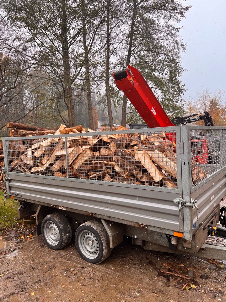 Nadelholz I Feuerholz I Kaminholz I Brennholz in Ponitz