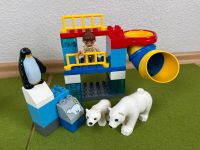 Lego Duplo 5633 / Polartiergehege - Zoo / Eisbären / OVP Nordrhein-Westfalen - Bünde Vorschau