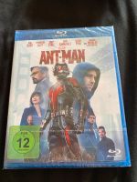 DVD blue ray Ant-Man Obergiesing-Fasangarten - Obergiesing Vorschau