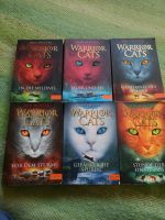 Warrior Cats Staffel 1, Band 1-6 Schleswig-Holstein - Lübeck Vorschau