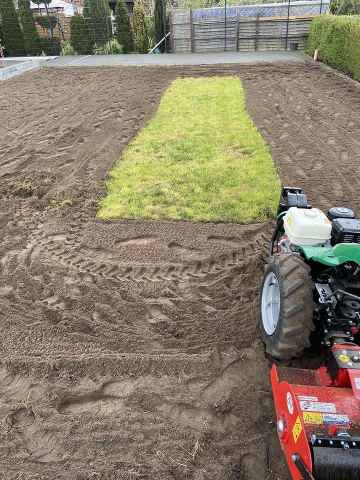 Rasen erneuern Umkehrfräse Traktor Garten in Lohne (Oldenburg)