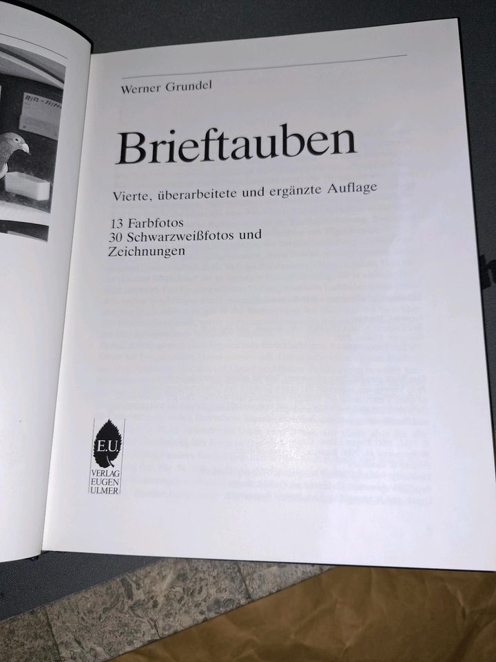 Werner Grundel Brieftauben Brief Tauben Zucht Ulmer Verlag in Berlin