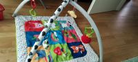 Spieldecke/Spielbogen/Baby Gym Nürnberg (Mittelfr) - Nordstadt Vorschau