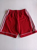 Trikots und Shorts Adidas Größe 164 Schleswig-Holstein - Flensburg Vorschau