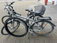 Herren und Damenfahrrad Hercules  Creation (bitte genau lesen) Baden-Württemberg - Rudersberg Vorschau