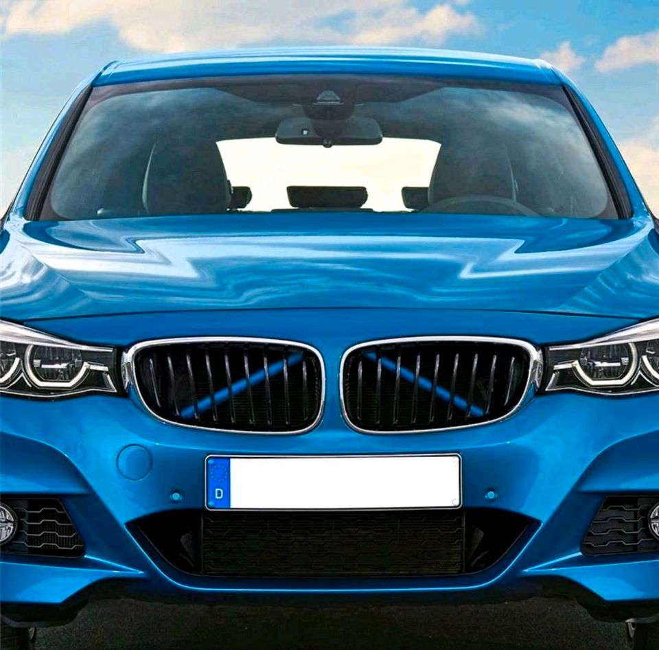 Bmw Nieren Streben Abdeckung Blau, € 25,- (2601 Sollenau) - willhaben