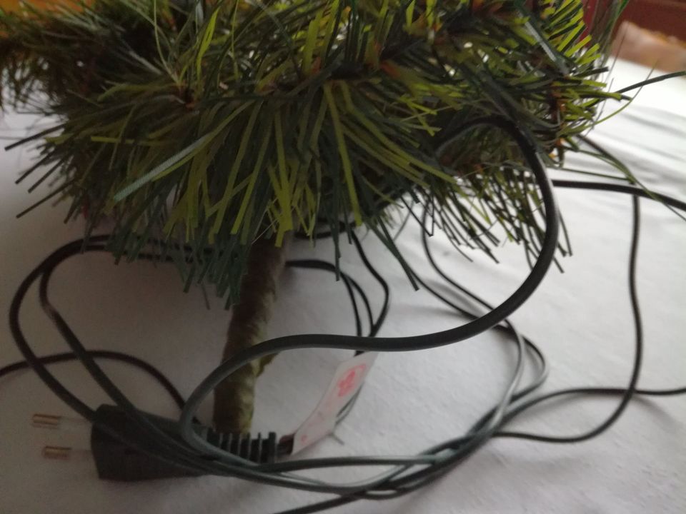 Weihnachtsstern mit Lichterkette in Burgrieden