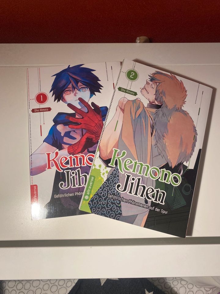 Mangas von Boys love, romance bis hin zu Action in Mittelangeln