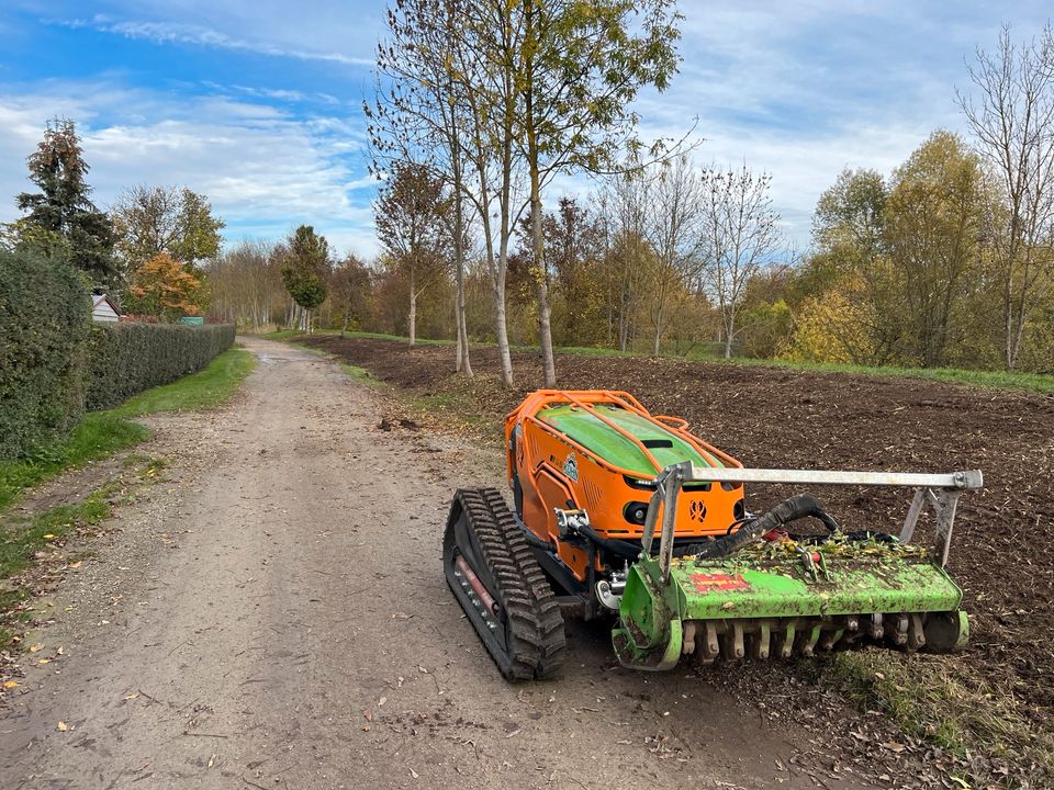 Forstmulcher / Forstfräse / Forst / Wald/ Rodung / Baufeldräumung in Weiden b Weimar Thür