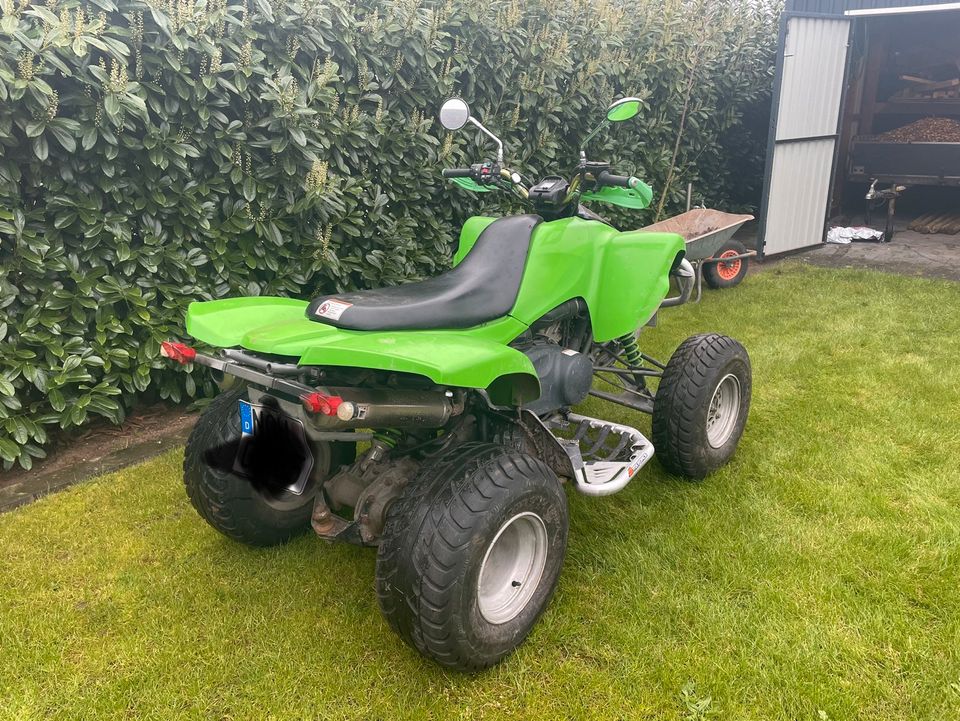 Kawasaki KFX 700 Quad - viele Neuteile, wenig Km in Esche