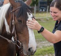Physiotherapie & Osteopathie für Pferde Niedersachsen - Leezdorf Vorschau