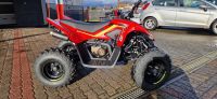 CF Moto Cforce 110 Kinderquad Hessen - Oberzent Vorschau