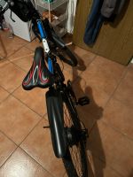 E-Bike 26 Zoll 250W Nordrhein-Westfalen - Sundern (Sauerland) Vorschau