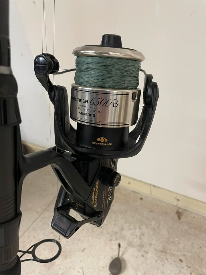 DAIWA EMBLEM SPOD CARP Waller Pelett Störangel, Stör in Düsseldorf