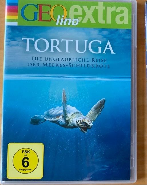 DVD Tortuga in Marktheidenfeld