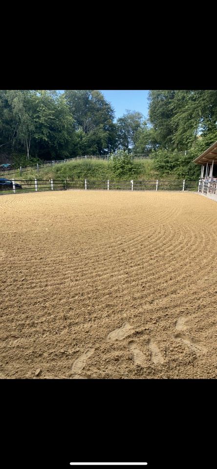 Kleiner Stall hat Pferdeboxen oder Offenstallfrei, 24/7 Heu in Bochum