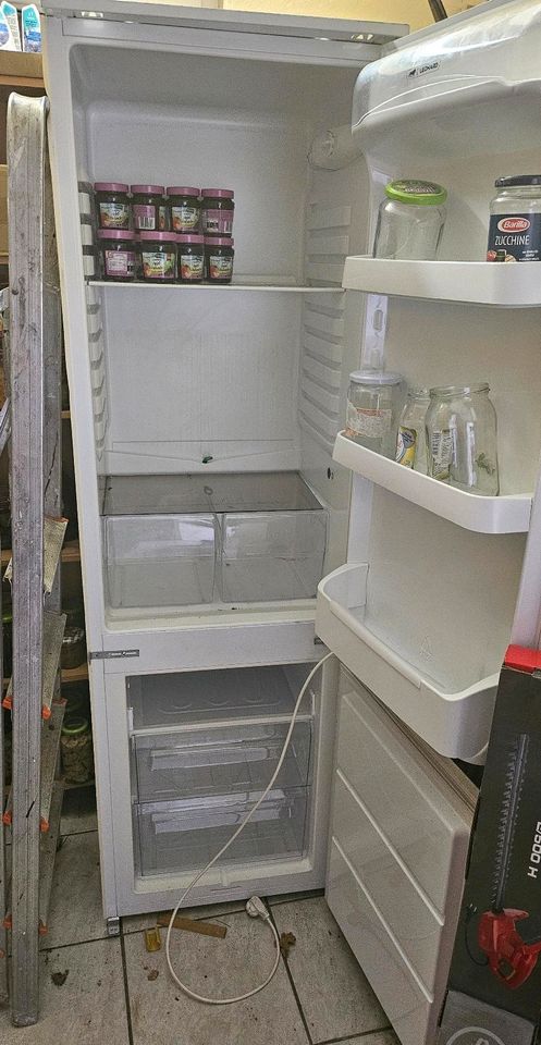 Einbau Kühl gefrierkombi Kühlschrank mit Gefrierschrank in Schwalmstadt