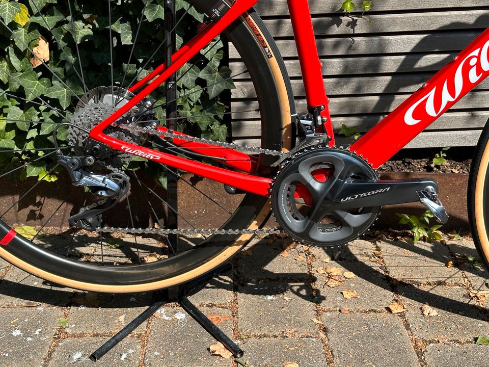 Wilier Triestina Cento 1 NDR Gr. M  Carbon Rennrad in Walddorfhäslach