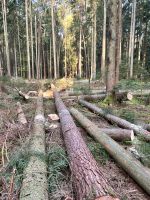 Forstarbeiten Lohnrücken Durchforstung Bauholz Bayern - Mainburg Vorschau