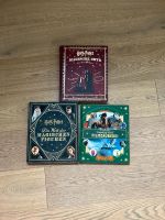 Harry Potter Bücher Filmbücher Filmzauber Frankfurt am Main - Bergen-Enkheim Vorschau
