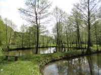 Teichanlage mit Wald und Wiesengrundstück - am Bach,  ruhige Lage Bayern - Bad Kissingen Vorschau