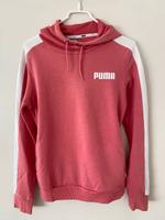 Puma Damen Hoodie XS WIE NEU! Nordrhein-Westfalen - Soest Vorschau