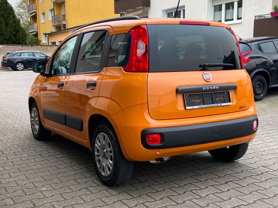 Fiat Panda 1.2 Easy **PDC**KLIMA**DAB+** in Hagen