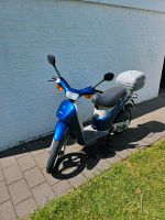 Piaggio 50ccm Free zu verkaufen! Nordrhein-Westfalen - Harsewinkel - Marienfeld Vorschau