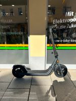 Eret X+ 12“ E-Scooter neu mit Blinkern 36NM Offroad 500 W Motor Bayern - Forchheim Vorschau