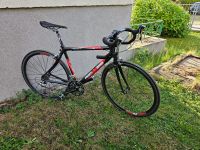 Rennrad Primera Carbon Ultegra Brandenburg - Nordwestuckermark Vorschau