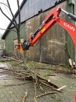 Hecken / Sträucher entfernen Niedersachsen - Stadland Vorschau