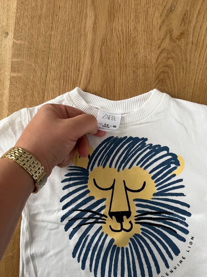 T-Shirt Zara mit Löwe in Bad Kreuznach