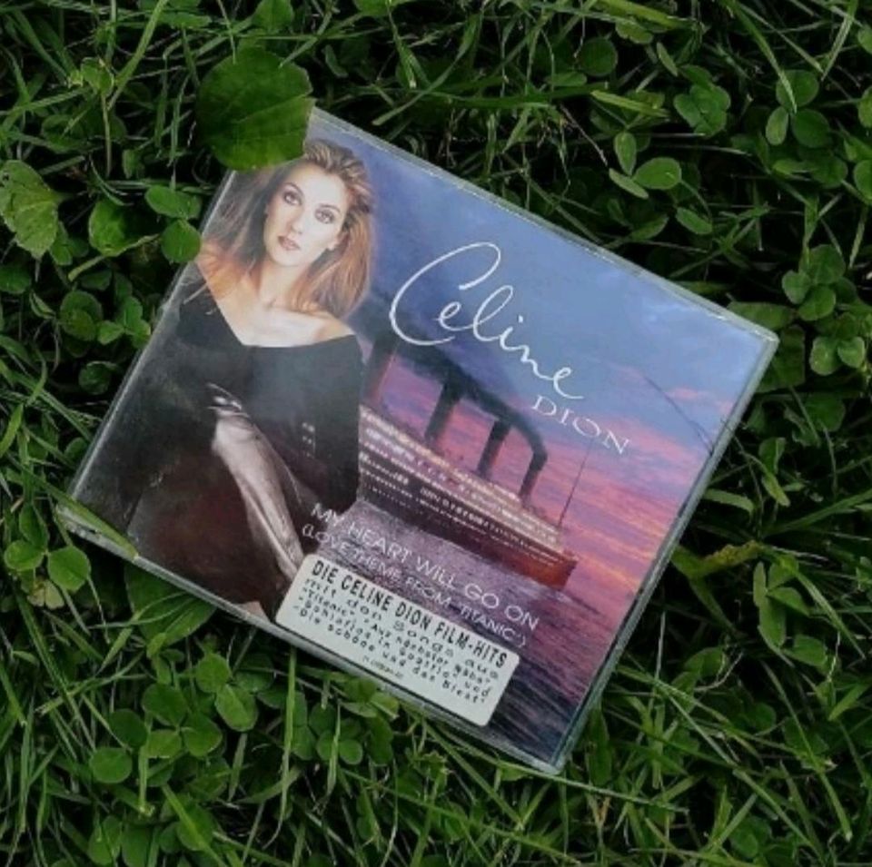 Celine Dion - My Heart Will Go on in Markneukirchen