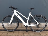 RIESE UND MÜLLER UBN Seven Touring Damen E-Pedelec 28" Rh: 57 cm Nordrhein-Westfalen - Dorsten Vorschau