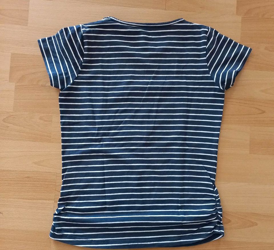 Shirt *T-Shirt *Mädchen *146/152 in Osnabrück