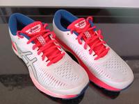 Asics Gel-Kayano 25 Damenschuh Sportschuhe Nordrhein-Westfalen - Schwelm Vorschau
