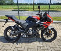 Aprilia TUONO 125 ABS  E5 + HELM Niedersachsen - Bawinkel Vorschau