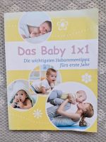 Das Baby 1x1: Hebammentipps für alle Eltern Niedersachsen - Lüneburg Vorschau