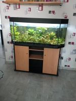 Juwel Aquarium 240 Liter mit Kohlendioxid system und Unterschrank Saarland - Eppelborn Vorschau