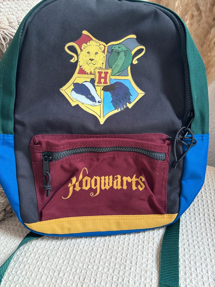 H&M Harry Potter Hogwarts Rucksack blau,gelb,grün,rot in Erfurt